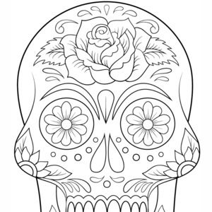 Meet your Posher, Lonita